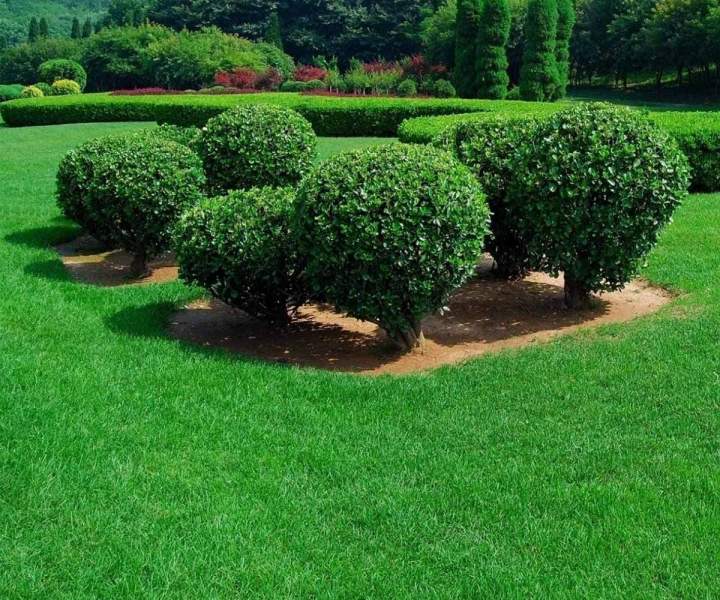 Entretien d'espaces verts Le Crès