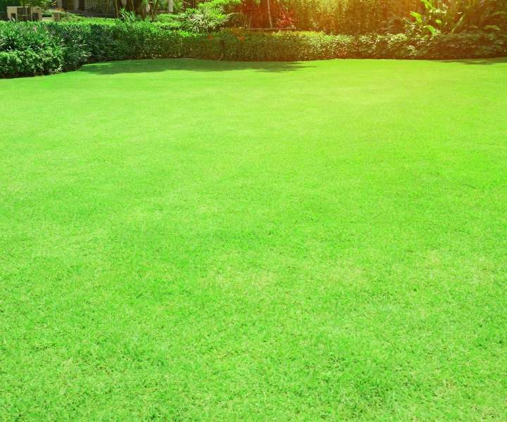 Pose de gazon synthétique Le Crès